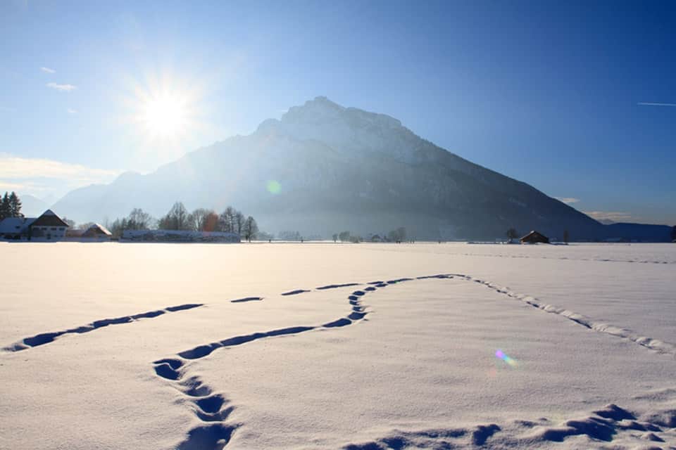 Sicher und bequem buchen, bewerten und Urlaubsfavoriten sammeln. Anmelden Hochzeitsreisende, Urlaub zu zweit, Familie, Singles mit Kind, Singles Friesachers Aniferhof (Anif) HolidayCheck (Salzburger Land